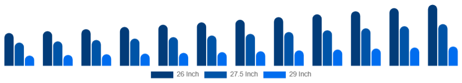 China Mountain Bike Market Wheel Size 2025-2033