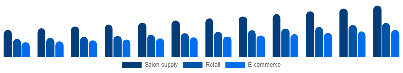 China Nail Extensions Market Distribution 2025-2033