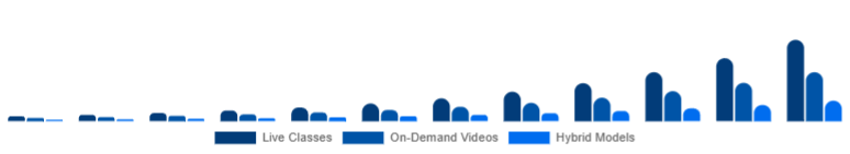 China Online Fitness Market Service Type 2025-2033