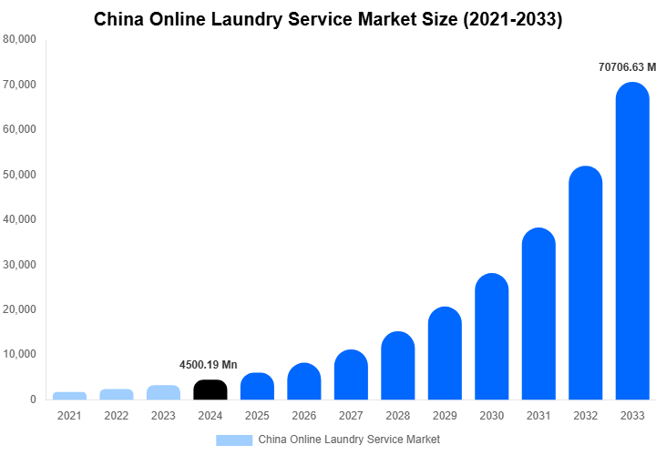 China Online Laundry Service Market Size, Share & Trends Report By 2033