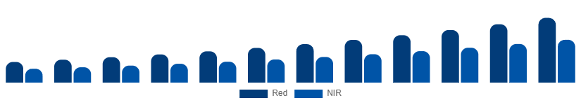 China Red Light Therapy Belts Market Wavelength 2025-2033