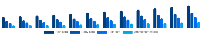China Spa Products Market Product 2025-2033