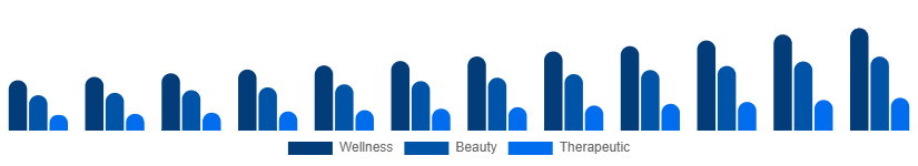 China Spa Resort Market Service 2025-2033