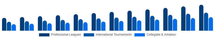 China Sports Events Tickets Market Event Type 2025-2033