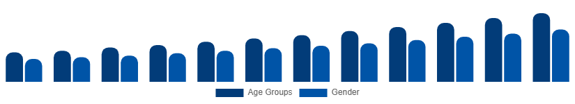 Colombia Digital Games Market Gamer Demographics 2025-2033