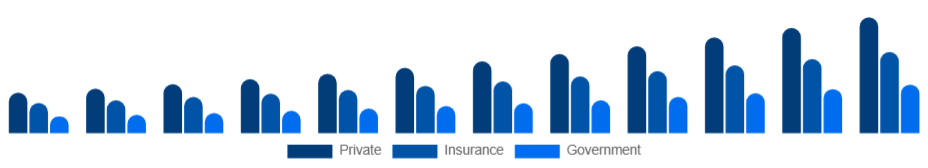 Egypt Air Ambulance Services Market Payer 2025-2033