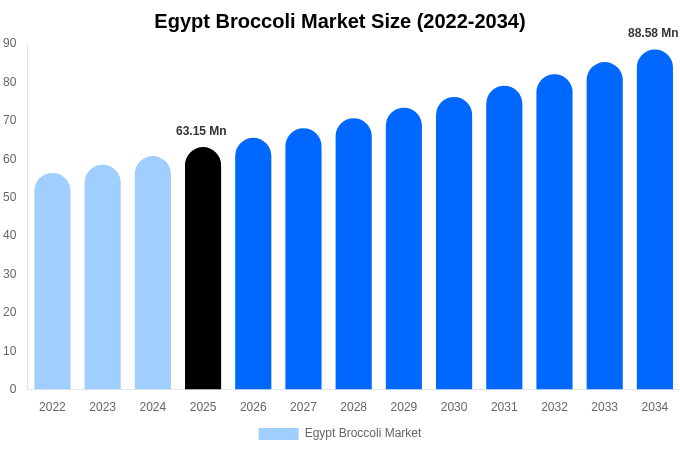 Egypt Broccoli Market Size, Share & Growth Report By 2034