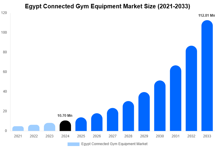 Egypt Connected Gym Equipment Market Size, Share And Growth Report By 2033