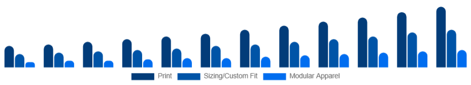 Egypt Customizable Clothing Market Personalization Type 2025-2033