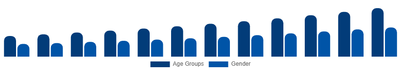Egypt Digital Games Market Gamer Demographics 2025-2033