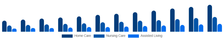 Egypt Elderly Care Market Service Type 2025-2033