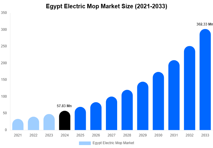 Egypt Electric Mop Market Size, Trends & Forecast Analysis (2025-2033)