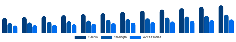 Egypt Fitness Equipment Market Equipment 2025-2033
