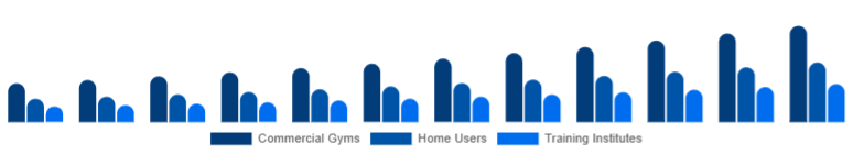 Egypt Functional Fitness Equipment Market End-User 2025-2033