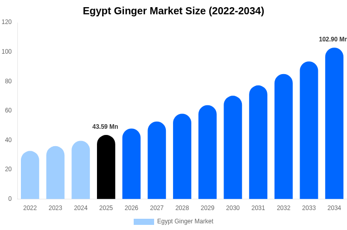 Egypt Ginger Market Size, Share & Growth Analysis By [2034]