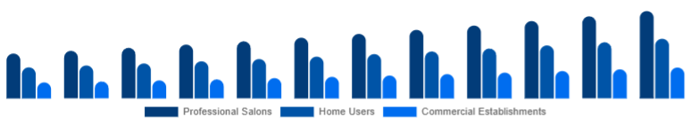 Egypt Hair Care Devices Market End-User 2025-2033