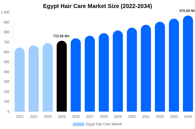 Egypt Hair Care Market Size, Share & Trends Report By 2034