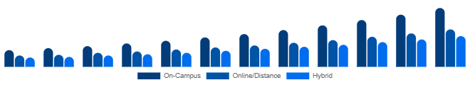 Egypt Higher Education Market Delivery Mode 2025-2033
