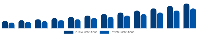 Egypt Higher Education Market Funding Source 2025-2033