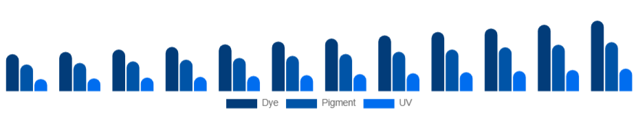 Egypt Inkjet Printers Market Ink Type 2025-2033