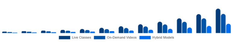 Egypt Online Fitness Market Service Type 2025-2033