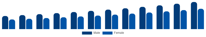 Egypt Private Label Cosmetics Market End User 2025-2033