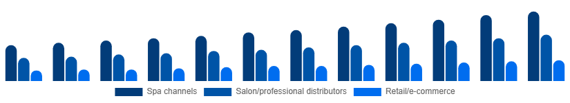 Egypt Spa Products Market Distribution 2025-2033