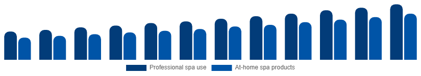 Egypt Spa Products Market End-user 2025-2033