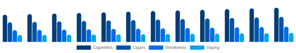 Egypt Tobacco Products Market Product 2025-2033