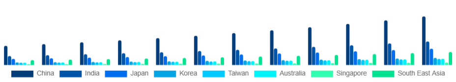 Asia Pacific Elderly Care Market Country 2025-2033