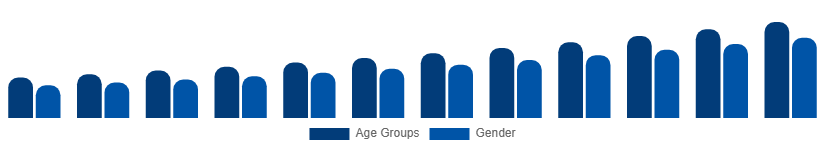 Europe Digital Games Market Gamer Demographics 2025-2033