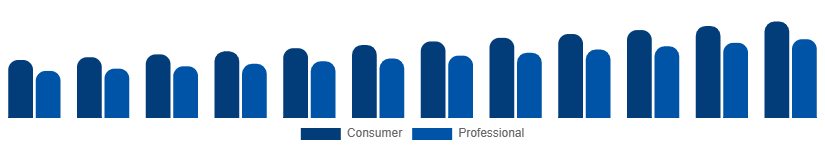 Europe DSLR Cameras Market Application 2025-2033