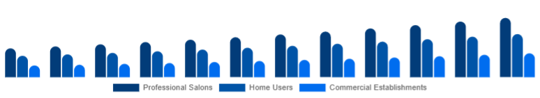 Europe Hair Care Devices Market End-User 2025-2033
