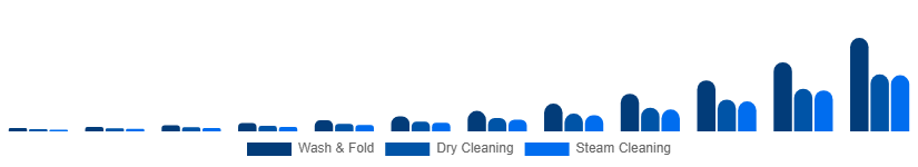 Europe Online Laundry Service Market Service Type 2025-2033