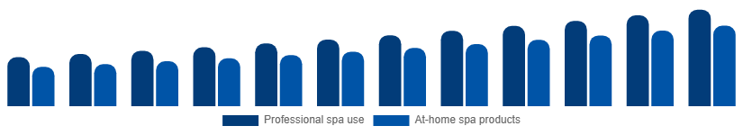 Europe Spa Products Market End-user 2025-2033