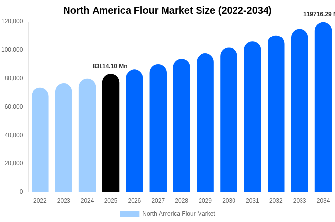 North America Flour Market Size, Share & Growth Report By [2034]