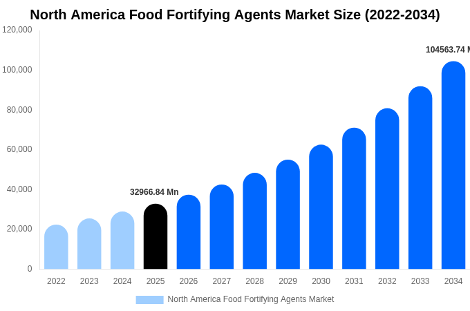 北米 食品強化剤市場 市場規模・シェア・成長レポート 2034年まで