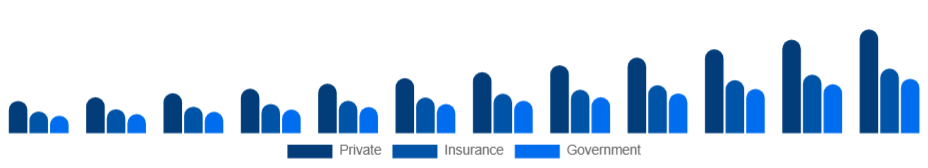 France Air Ambulance Services Market Payer 2025-2033