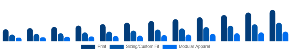 France Customizable Clothing Market Personalization Type 2025-2033