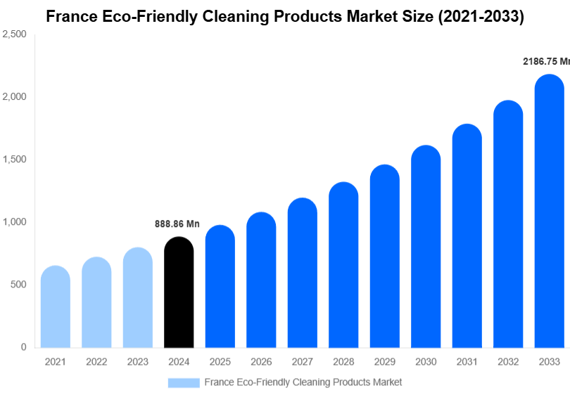 France Eco-Friendly Cleaning Products Market Forecast Analysis (2025-2033)
