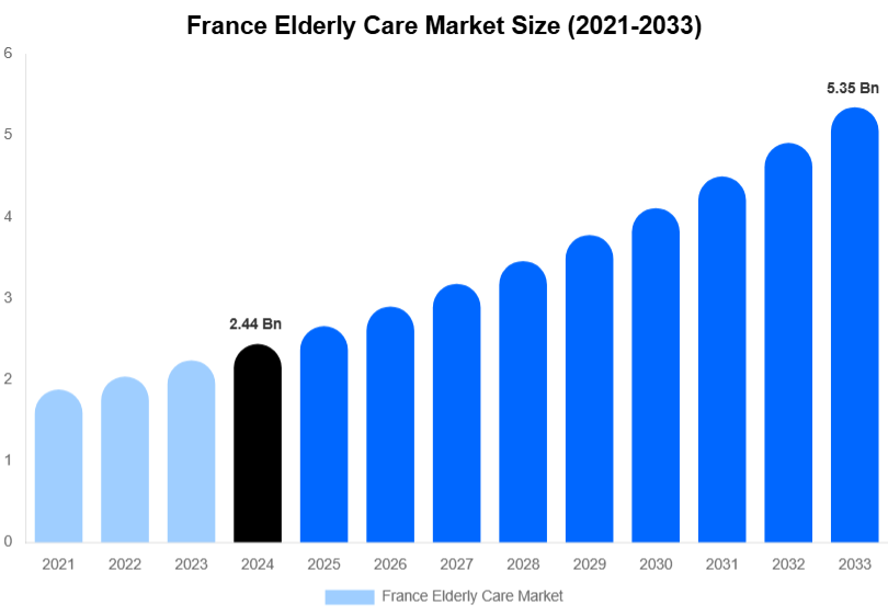 France Elderly Care Market Size, Share & Growth Report By [2033]