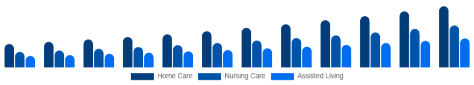 France Elderly Care Market Service Type 2025-2033
