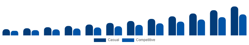 France Fantasy Sports Market User Type 2025-2033