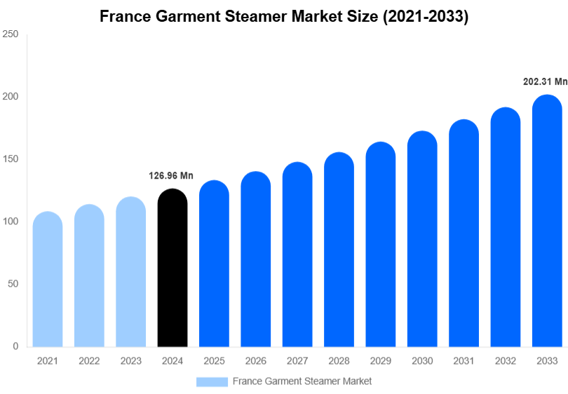 France Garment Steamer Market Size & Share Report By 2033
