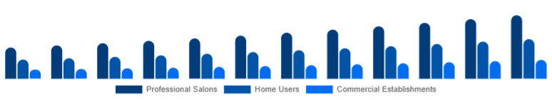 France Hair Care Devices Market End-User 2025-2033