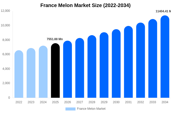 France Melon Market Size & Share Report By 2034