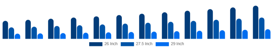 France Mountain Bike Market Wheel Size 2025-2033