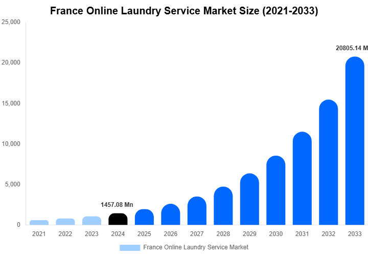 France Online Laundry Service Market Size, Share & Growth Report By 2033