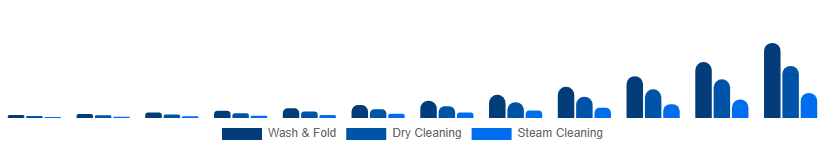 France Online Laundry Service Market Service Type 2025-2033
