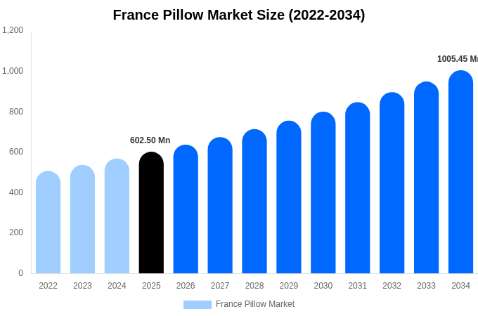 France Pillow Market Size, Share Report By 2034